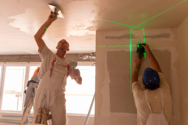 Leland Grove, IL Drywall & Painting Services Company